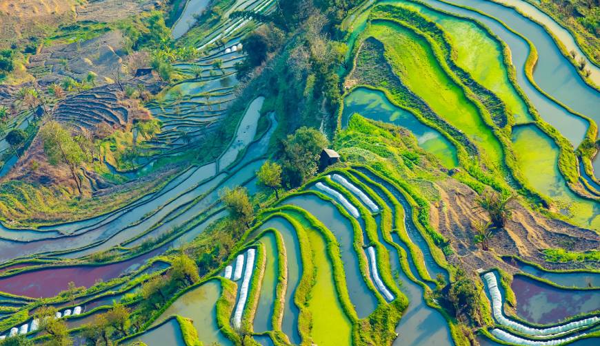 宝妈必备神器：三水区产品视频拍摄轻松育儿好帮手