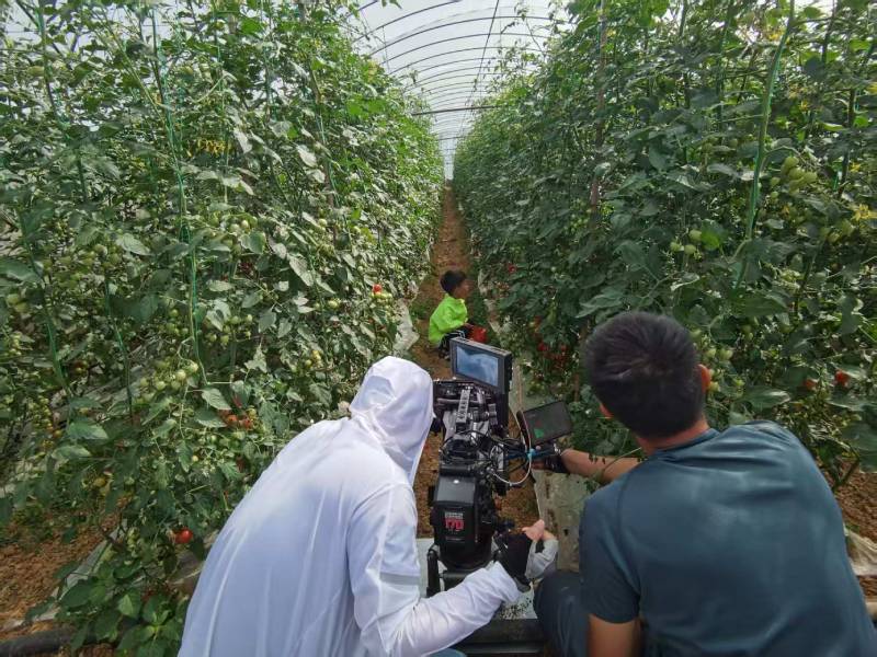 三水区产品宣传视频拍摄公司进阶指南，助力品牌抢占传播高地